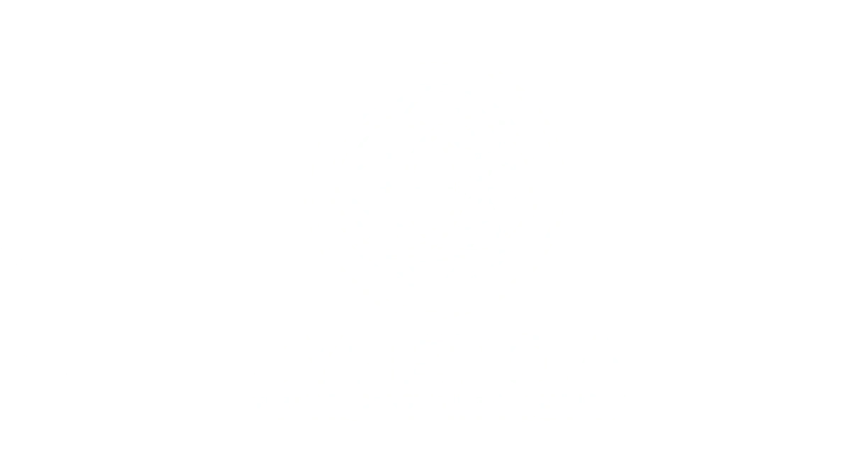 Synergia
